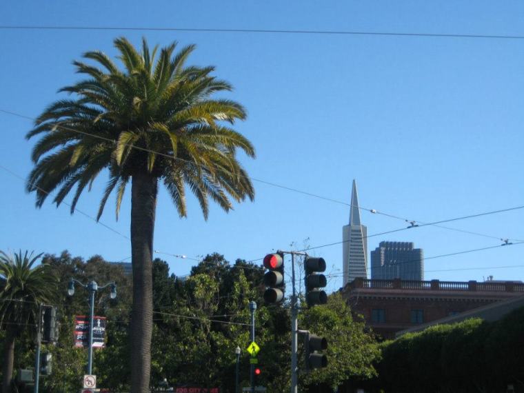 387035_10151020011781378_182524698_n