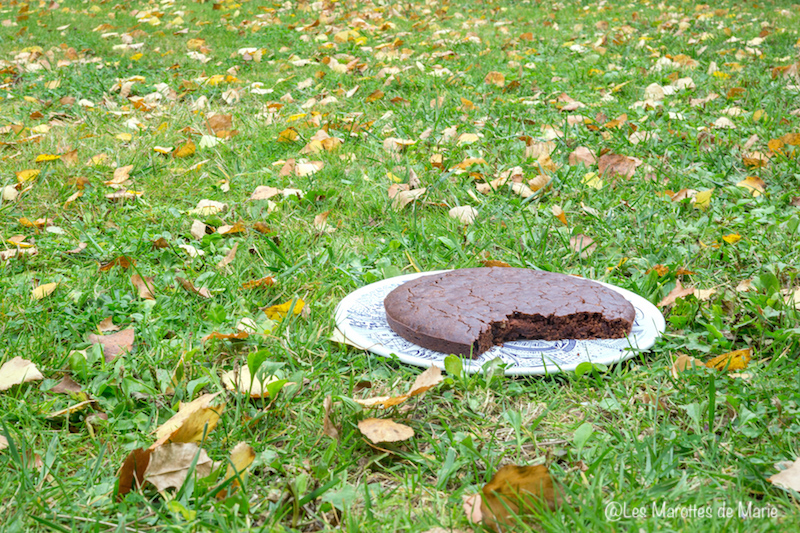 2015-10-20 brownie au chooclat-2