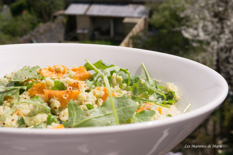 2016 04 17 Salade vegan quinoa patate douce Les Marottes de Marie 1