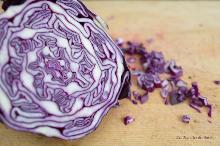 2016 04 24 Chou rouge Les Marotets de Marie