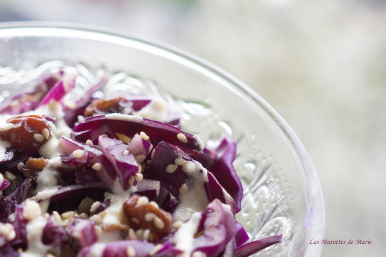 2016 04 24 Coleslaw chou rouge vegan Les Marottes de Marie 1