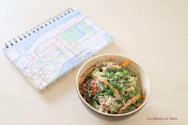 2016 04 24 Nouilles soba vegan legumes croquants les Marottes de Marie 2