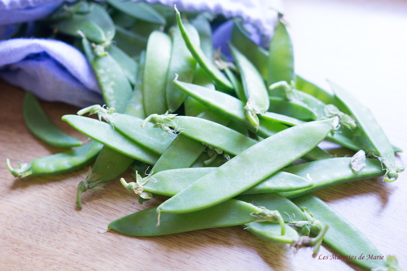 2016 04 24 Pois gourmands Les Marottes de Marie