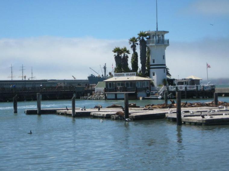 293089_10151020011346378_102911888_n