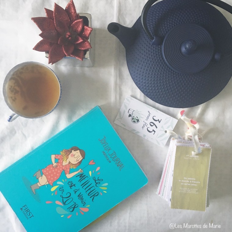 2016 01 01 Les Marottes de Marie