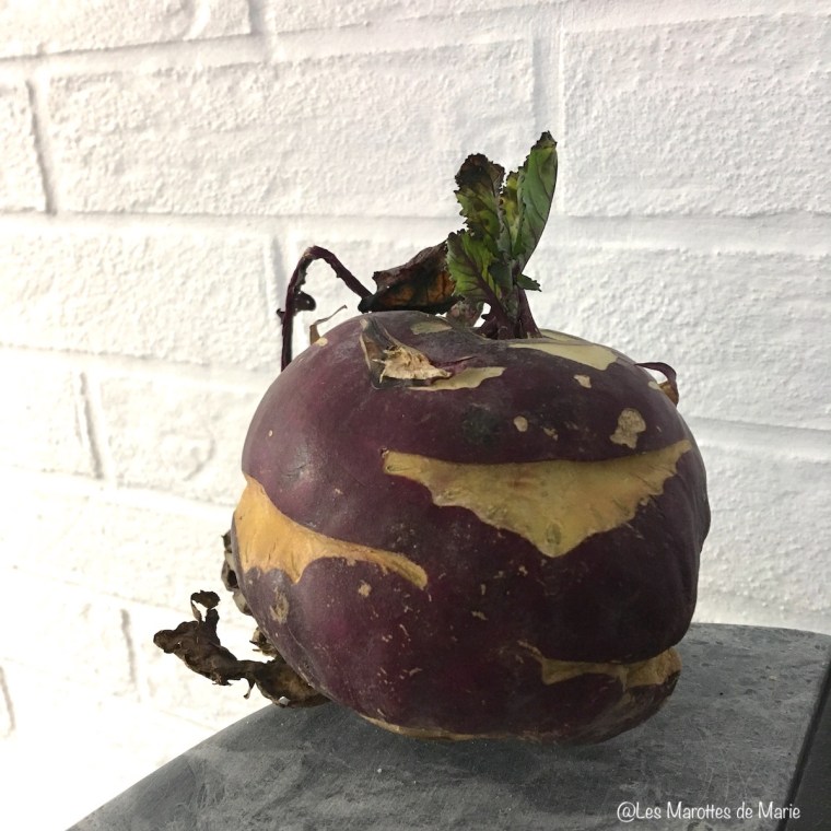 2016 01 05 Chou rave Les Marottes de Marie