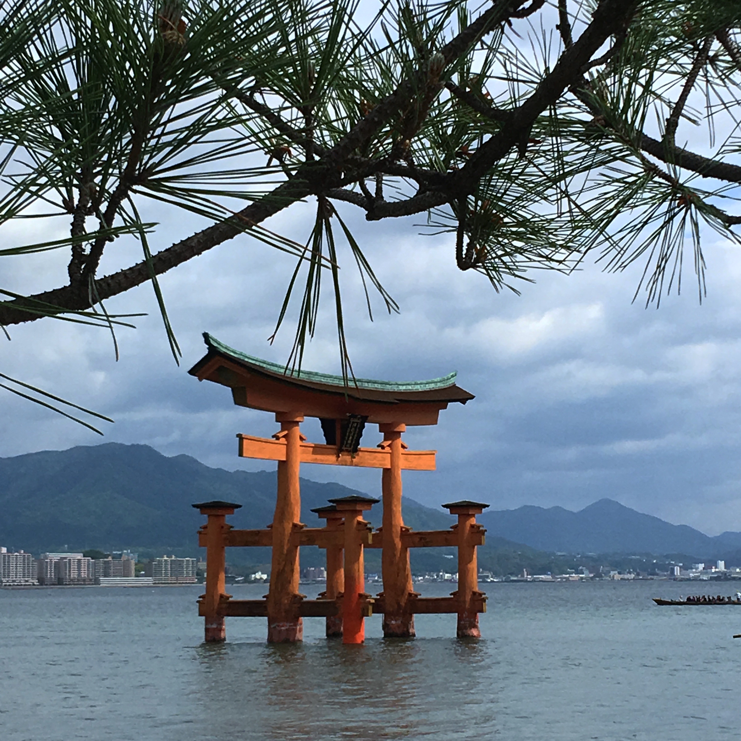 65AE228B-6AA1-4F63-9A30-54BCEF05B4DC