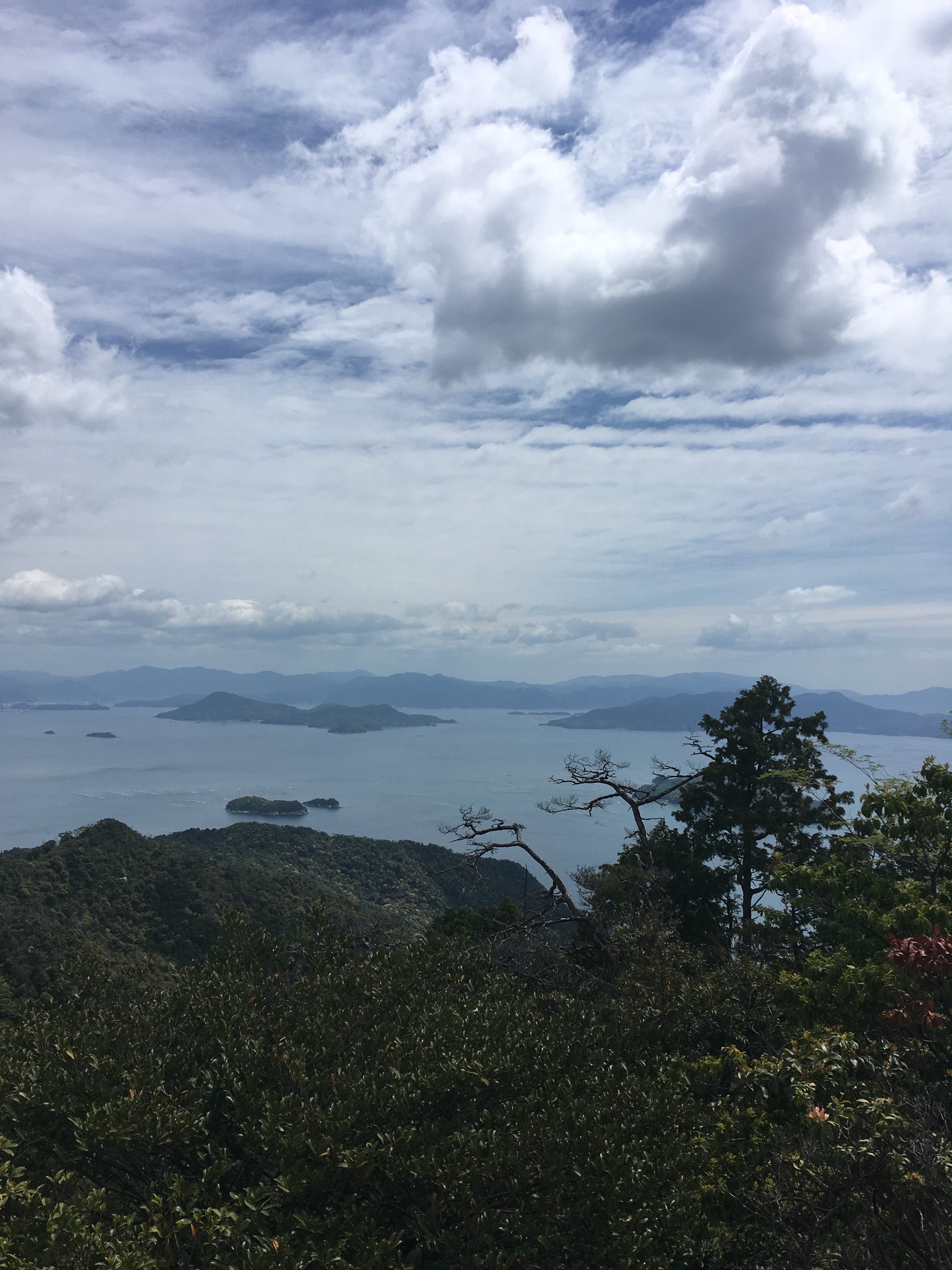 B9E16DB7-E175-4A5C-BA61-A7FF4A42401E