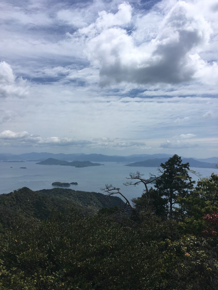 B9E16DB7-E175-4A5C-BA61-A7FF4A42401E