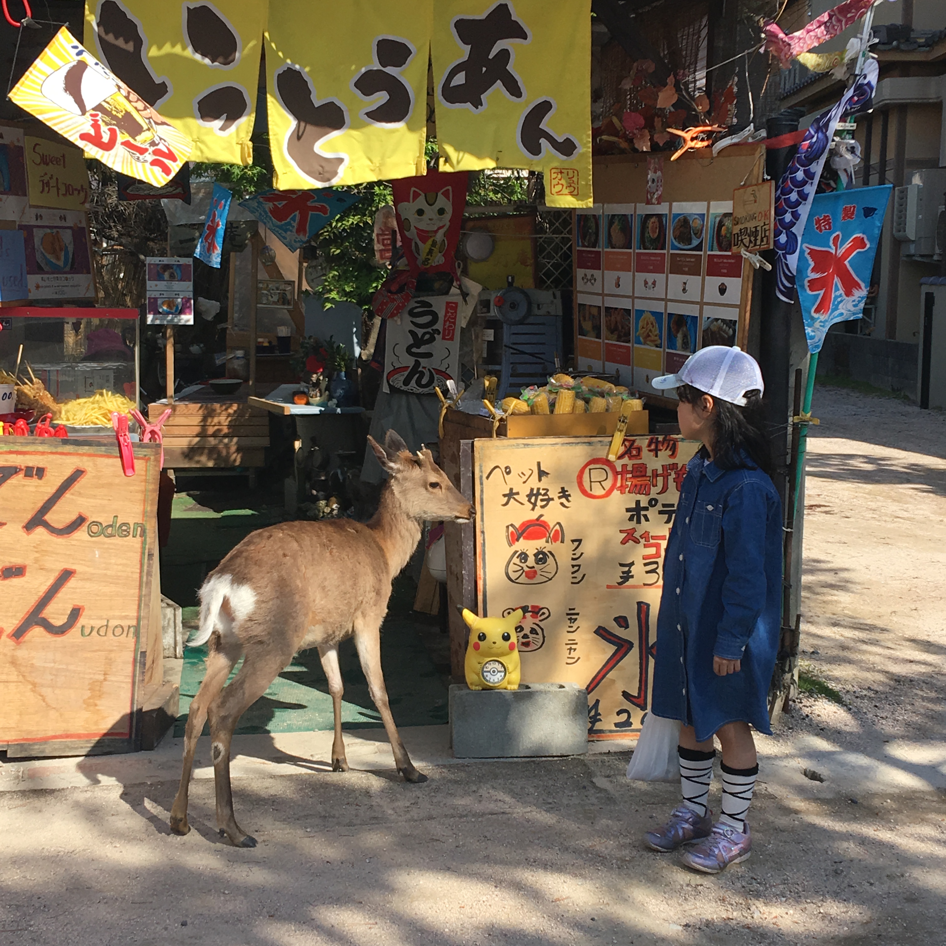 BF11A009-9BA3-40A3-90FD-6A04B1E7E681