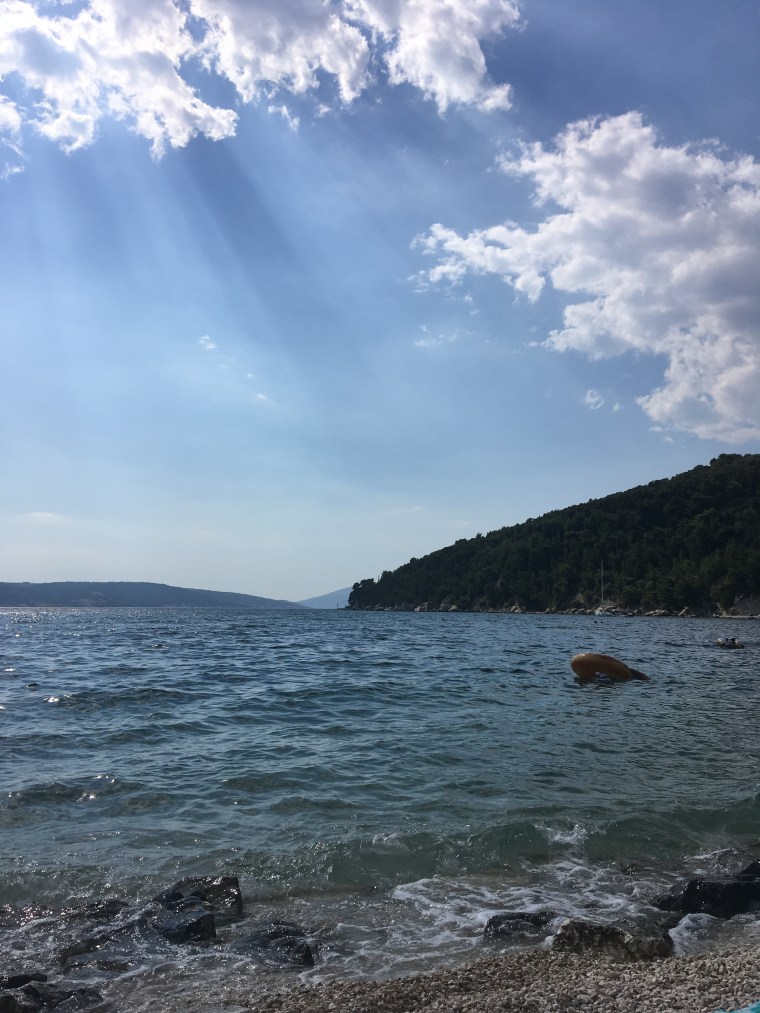 15F2330D-CE31-4F08-B931-1F0D25213867