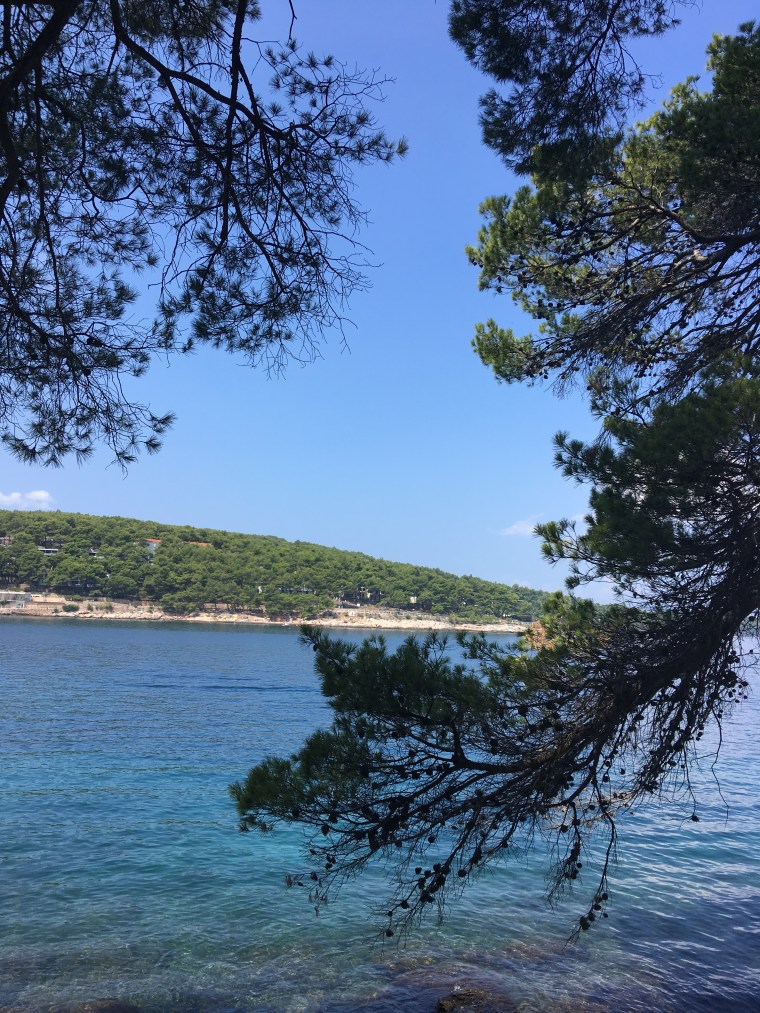 74FB6788-969D-486A-9010-78255796506B