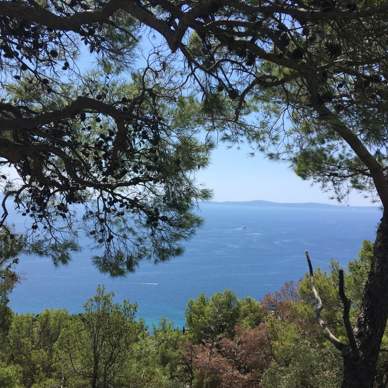 7A4A9AD5-9A1F-45F2-B095-48CA3F7DB23C