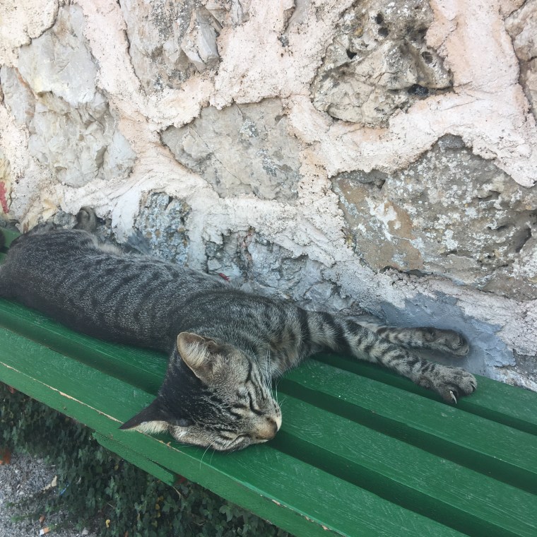 7B7D074C-6B3A-4436-97A1-E2A0E53764DF