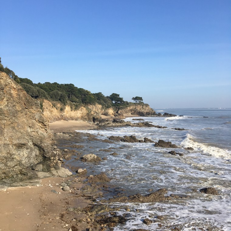 50C634FC-BB97-4505-8853-C619C5AFB259