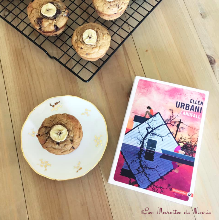 2019 9 11 Muffins banane chocolat vegan Les Marottes de Marie