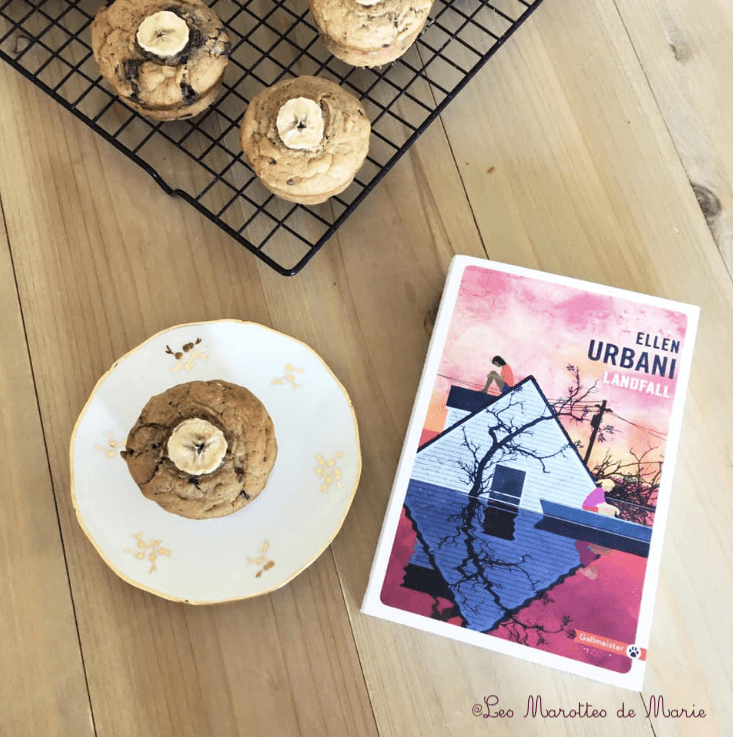 2019 9 11 Muffins banane chocolat vegan Les Marottes de Marie