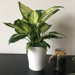 B17BD3B3-ED8A-4E68-86F8-AE513C49EAE1