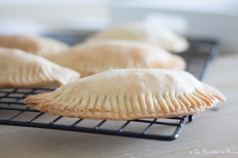 2020 05 21 chaussons legumes les marottes de marie-1