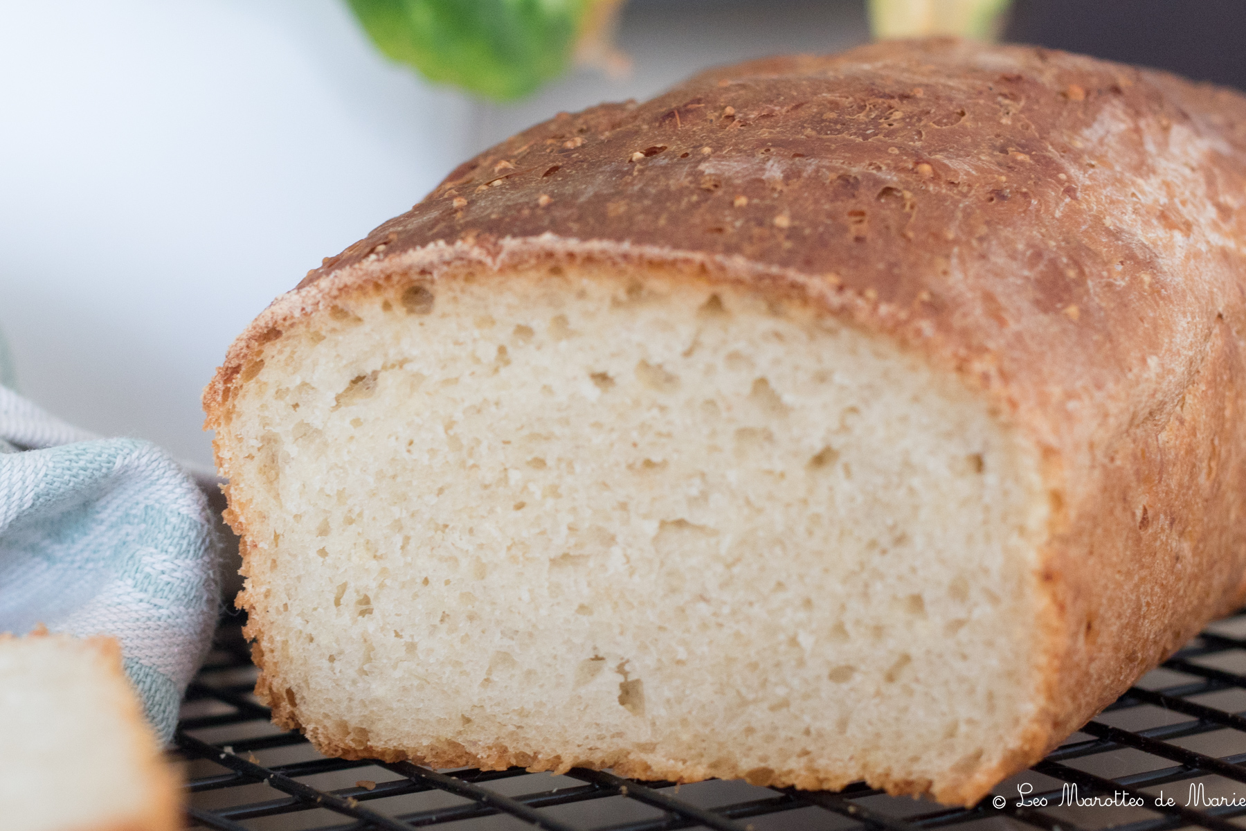 2020 05 8 pain de mie vegan Les marottes de marie-1